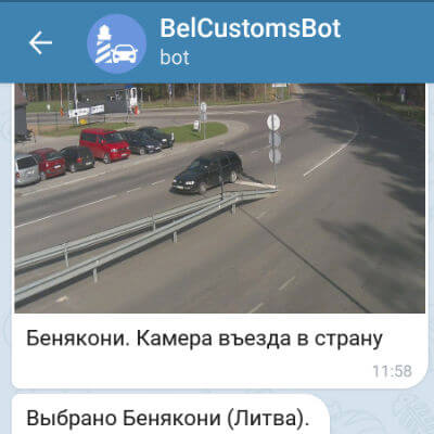 portfolio BelCustomsBot