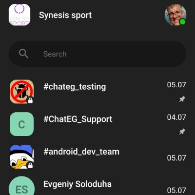 portfolio ChatEG / Synesis IM (Synesis)